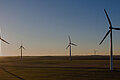 Windräder vor dem Sonnenuntergang